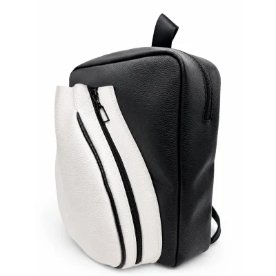 The Daily backpack